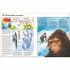 Usborne The World of the Unknown: Monsters