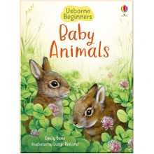 Usborne Baby Animals