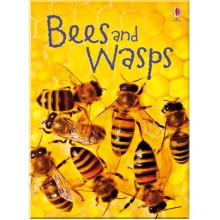 Usborne Bees and wasps
