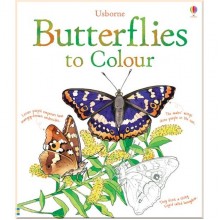 Usborne Butterflies to colour