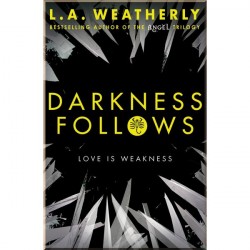 Usborne Darkness Follows