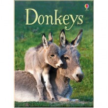 Usborne Donkeys