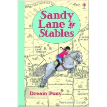 Usborne Dream Pony