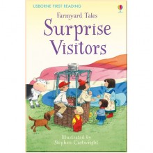 Usborne Farmyard Tales Surprise Visitors