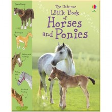 Usborne Little book of horses and ponies
