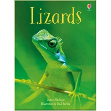 Usborne Lizards