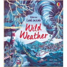 Usborne Look Inside Wild Weather
