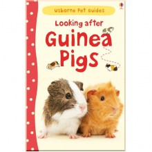 Usborne Looking after guinea pigs