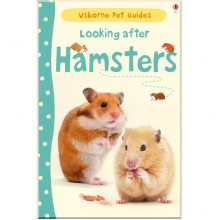 Usborne Looking after hamsters