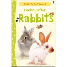 Usborne Looking after rabbits