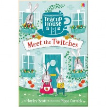 Usborne Meet the Twitches