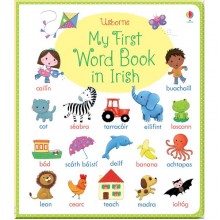 Usborne My first word book in Irish
