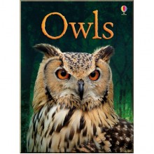 Usborne Owls