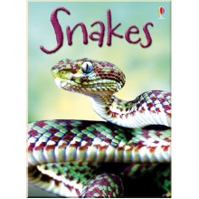 Usborne Snakes