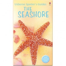 Usborne Spotter's Guides: Seashore