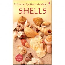 Usborne Spotter's Guides: Shells