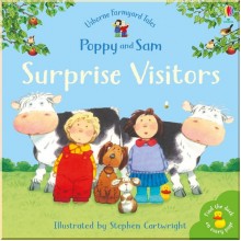 Usborne Surprise Visitors