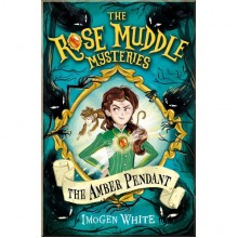 Usborne The Amber Pendant