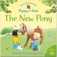 Usborne The New Pony