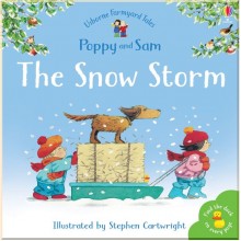 Usborne The Snow Storm