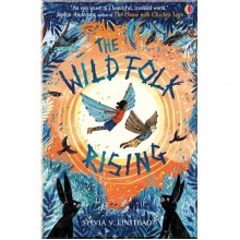 Usborne The Wild Folk Rising
