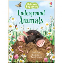 Usborne Underground Animals