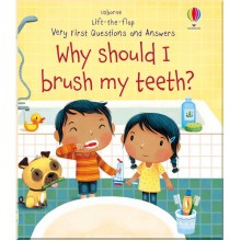 Usborne Why Should I Brush My Teeth?