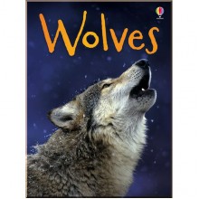 Usborne Wolves