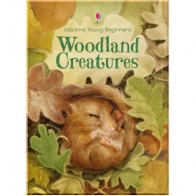 Usborne Woodland creatures