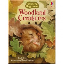Usborne Woodland Creatures