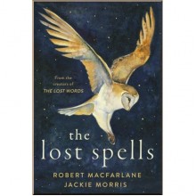 Hamish Hamilton The Lost Spells