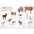 DK The Ultimate Sticker Book: Farm