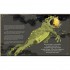 DK Birds and Beasts: Enchanting Tales of India