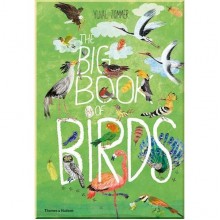 Thames and Hudson The Big Book of Birds