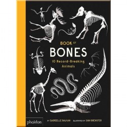 Phaidon Book of Bones