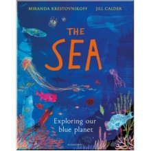 Bloomsbury Children's The Sea: Exploring Our Blue Planet