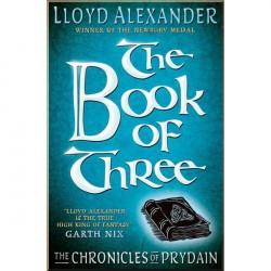 Usborne The Book of Three (Book 1)