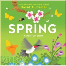 Abrams Appleseed Spring: A Pop-Up Book