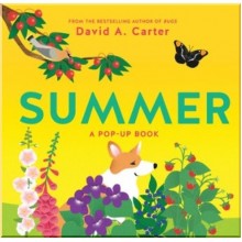 Abrams Appleseed Summer: A Pop-up Book