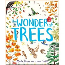 Hodder Children's The Wonder of Trees