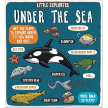 Templar Little Explorers: Under the Sea