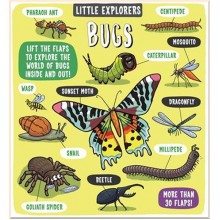 Templar Little Explorers: Bugs