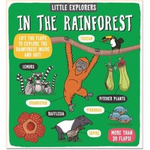 Templar Little Explorers: In the Rainforest