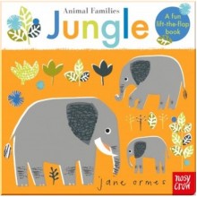 Nosy Crow Animal Families: Jungle