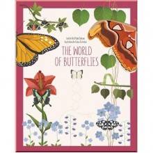 White Star The World of Butterflies