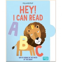 Sassi Pull-and-Play Hey! I Can Read