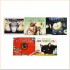 David Wiesner 5 Picture Books Collection Pack